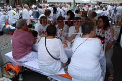 Stadtpicknick_08